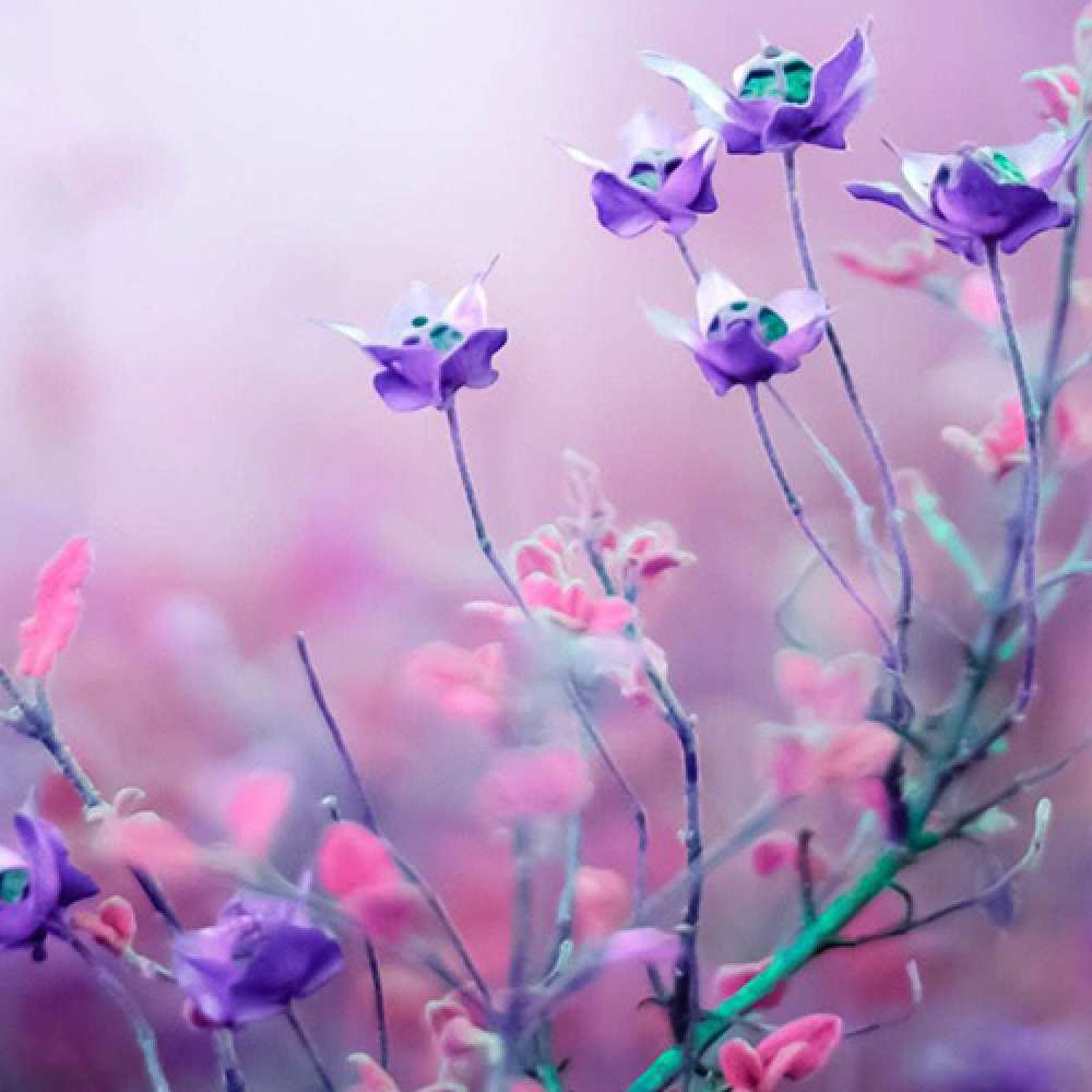 Открытка на каждый день с именем, Прасковья C 8 МАРТА международный женский день 2 Прикольная открытка с пожеланием онлайн скачать бесплатно 