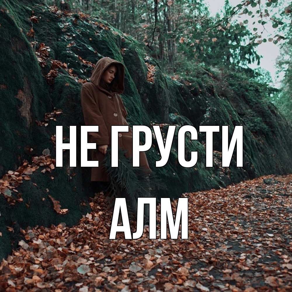 Открытка на каждый день с именем, Алм Не грусти осенний лес Прикольная открытка с пожеланием онлайн скачать бесплатно 