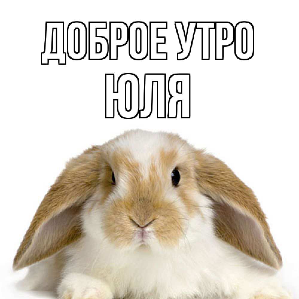 Открытка на каждый день с именем, Юля Доброе утро прикольные открытки на каждый день Прикольная открытка с пожеланием онлайн скачать бесплатно 
