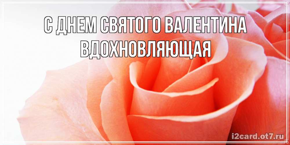 Открытка на каждый день с именем, вдохновляющая С днем Святого Валентина открытка на день Святого Валентина с розовой розой Прикольная открытка с пожеланием онлайн скачать бесплатно 