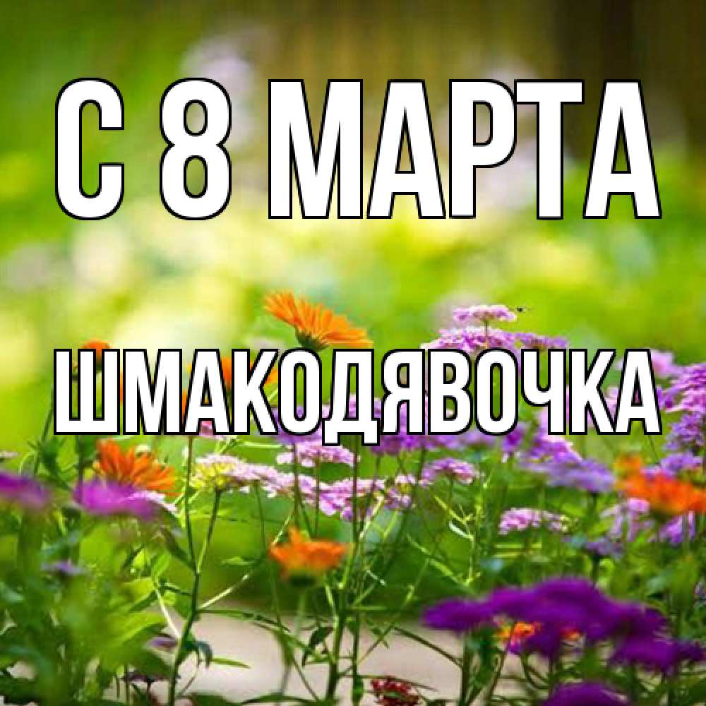 Открытка на каждый день с именем, шмакодявочка C 8 МАРТА цветы Прикольная открытка с пожеланием онлайн скачать бесплатно 