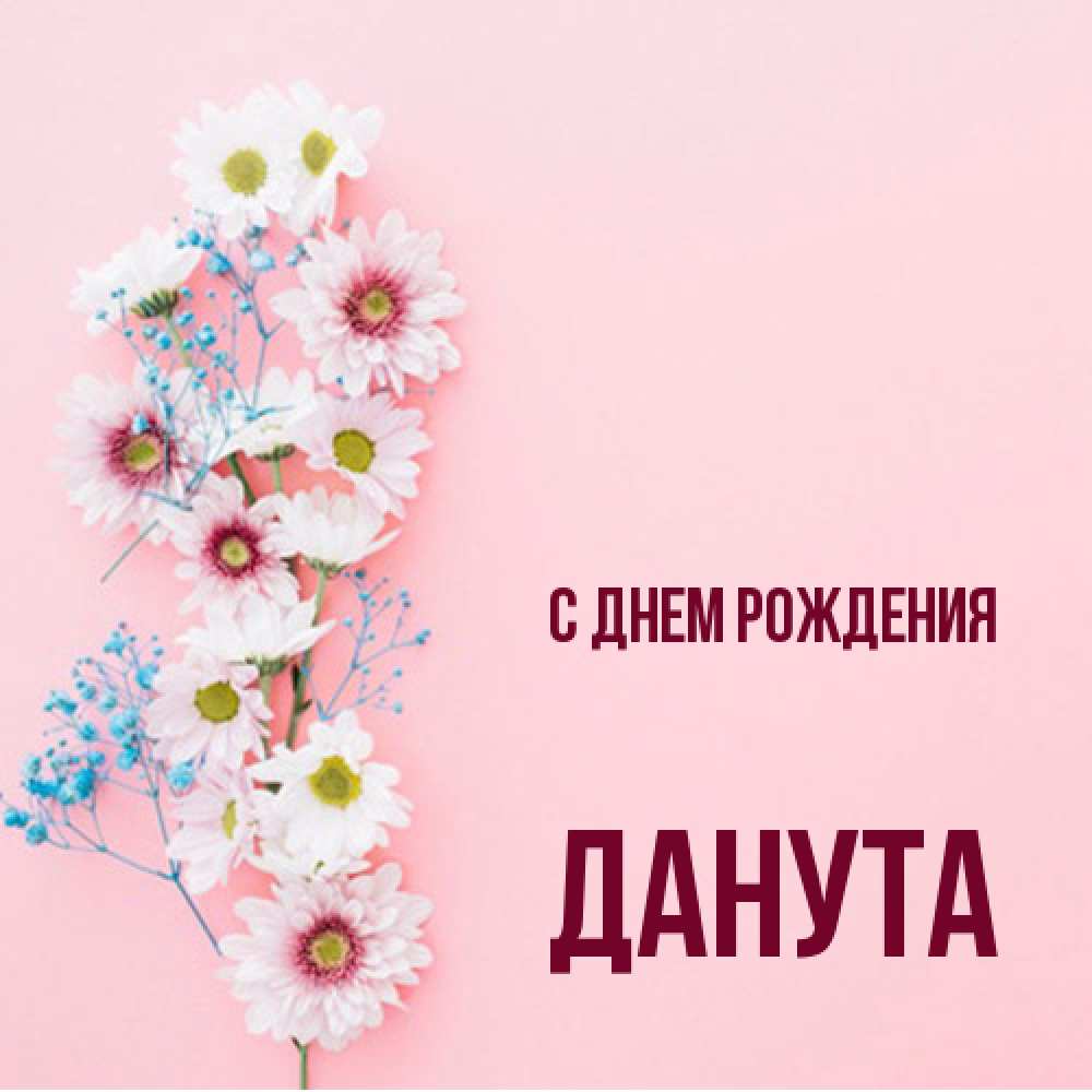 Открытка на каждый день с именем, Данута С днем рождения Родная моя с днем рождения тебя картинка с цветами белыми и голубыми Прикольная открытка с пожеланием онлайн скачать бесплатно 