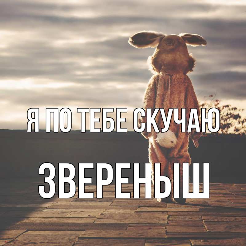Картинка Я по тебе скучаю, звеpеныш