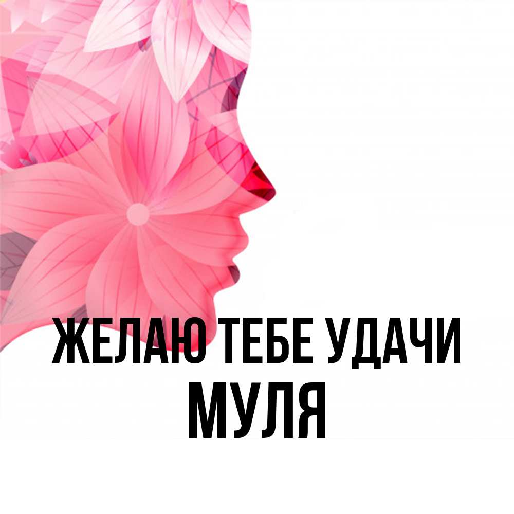 Открытка на каждый день с именем, Муля Желаю тебе удачи на удачу Прикольная открытка с пожеланием онлайн скачать бесплатно 