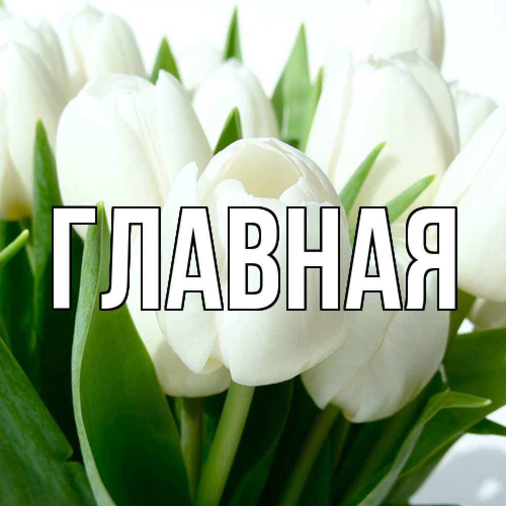 Открытка на каждый день с именем, настя Главная цветы Прикольная открытка с пожеланием онлайн скачать бесплатно 