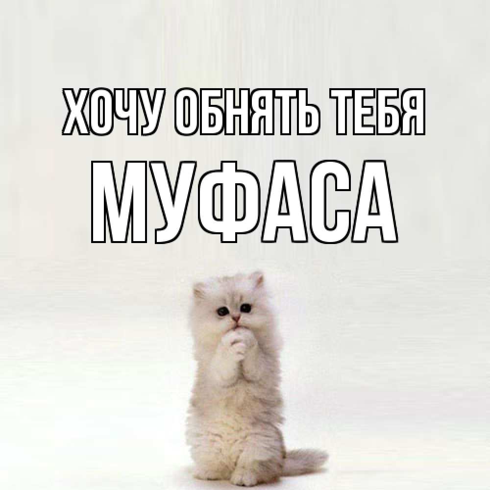 Открытка на каждый день с именем, Муфаса Хочу обнять тебя открытки с креативными подписями Прикольная открытка с пожеланием онлайн скачать бесплатно 
