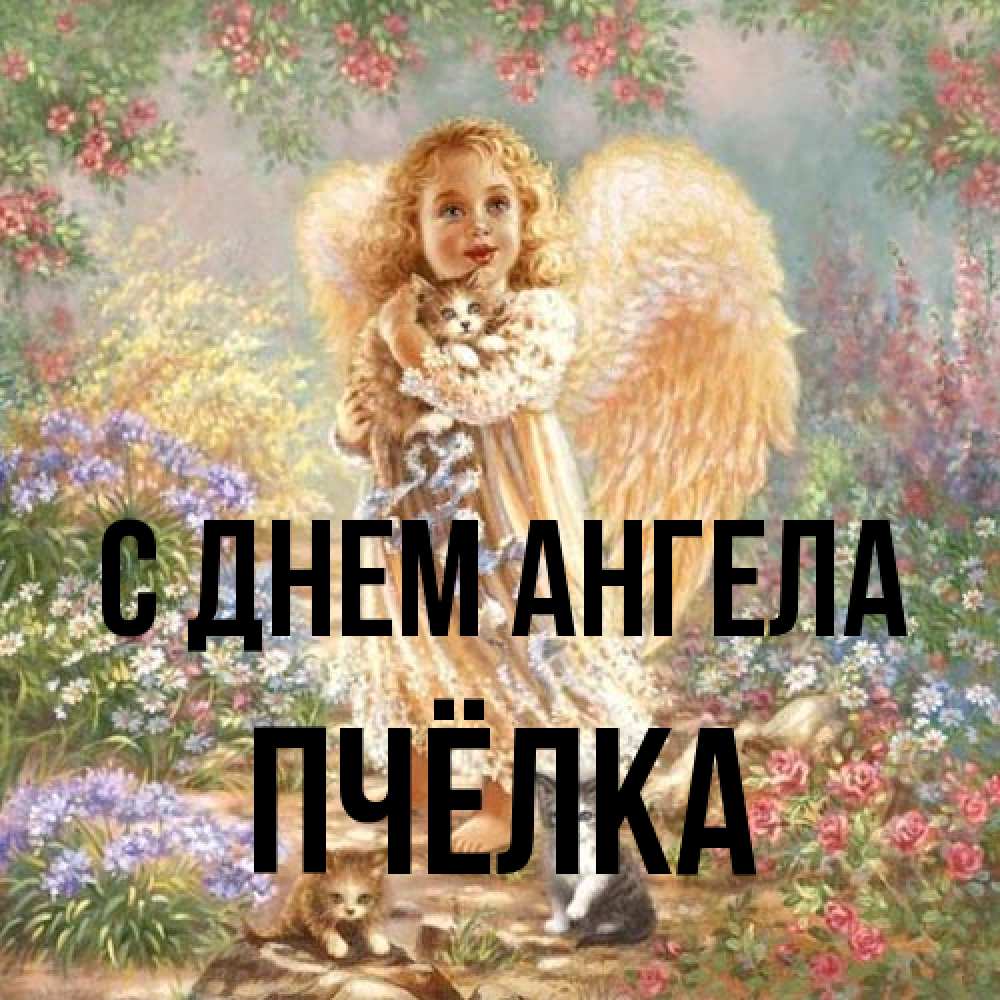 Открытка на каждый день с именем, Пчёлка С днем ангела держит котенка Прикольная открытка с пожеланием онлайн скачать бесплатно 
