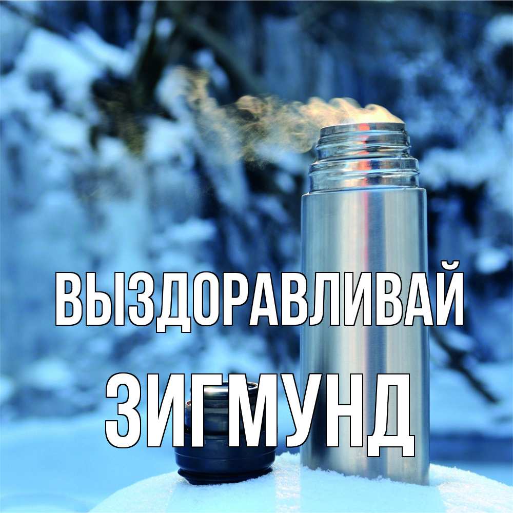 Открытка на каждый день с именем, Зигмунд Выздоравливай лечитесь не болейте Прикольная открытка с пожеланием онлайн скачать бесплатно 