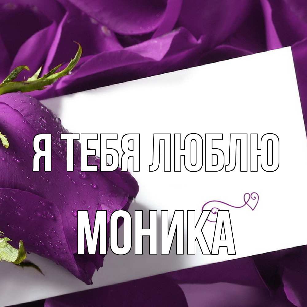 Открытка на каждый день с именем, Моника Я тебя люблю роза Прикольная открытка с пожеланием онлайн скачать бесплатно 