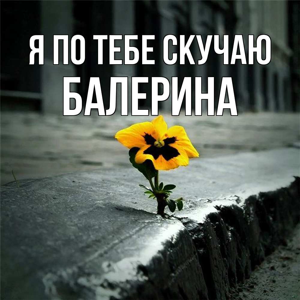 Открытка на каждый день с именем, Балерина Я по тебе скучаю надеюсь будет лучше Прикольная открытка с пожеланием онлайн скачать бесплатно 