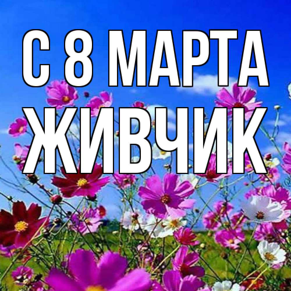 Открытка на каждый день с именем, Живчик C 8 МАРТА цветы Прикольная открытка с пожеланием онлайн скачать бесплатно 