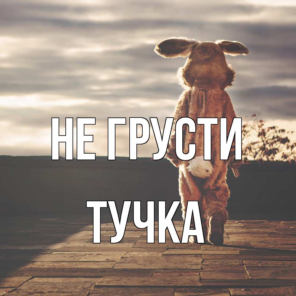 Открытка на каждый день с именем, Тучка Не грусти со спины Прикольная открытка с пожеланием онлайн скачать бесплатно 