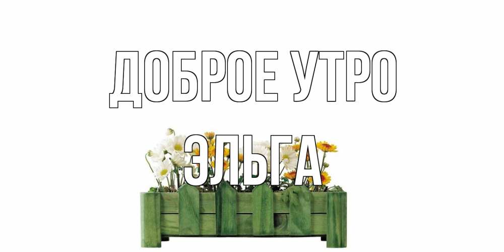 Открытка на каждый день с именем, Эльга Доброе утро цветы Прикольная открытка с пожеланием онлайн скачать бесплатно 