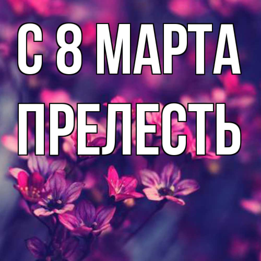 Открытка на каждый день с именем, прелесть C 8 МАРТА небольшие цветы 1 Прикольная открытка с пожеланием онлайн скачать бесплатно 