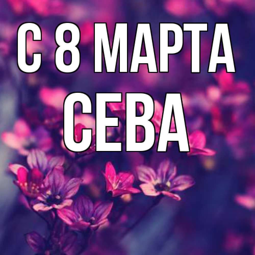 Открытка на каждый день с именем, Сева C 8 МАРТА небольшие цветы 1 Прикольная открытка с пожеланием онлайн скачать бесплатно 