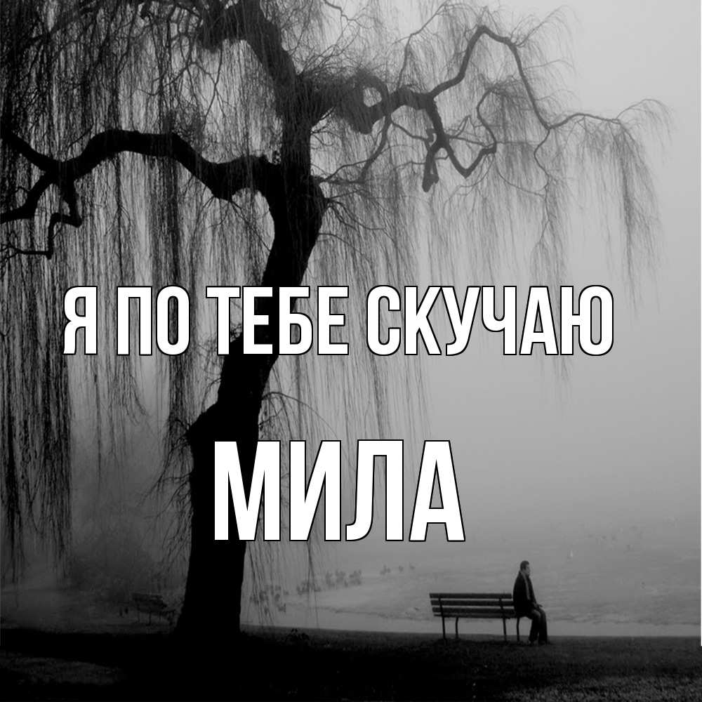 Открытка на каждый день с именем, Мила Я по тебе скучаю лавочка под деревом я жду тебя Прикольная открытка с пожеланием онлайн скачать бесплатно 