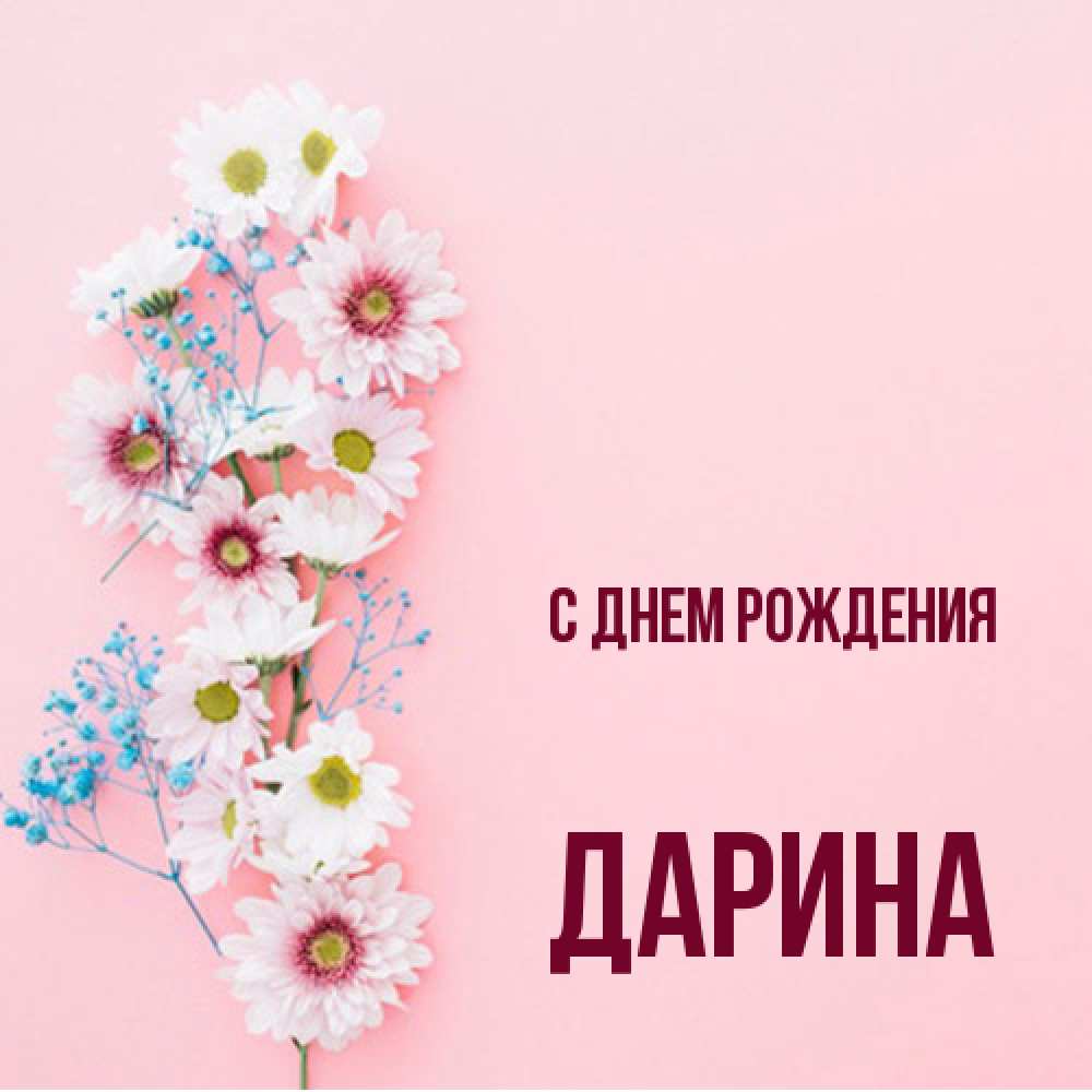 Открытка на каждый день с именем, Дарина С днем рождения Родная моя с днем рождения тебя картинка с цветами белыми и голубыми Прикольная открытка с пожеланием онлайн скачать бесплатно 
