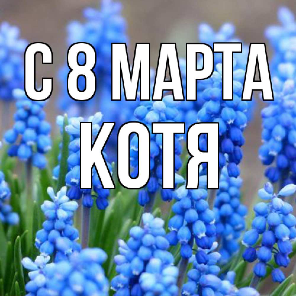 Открытка на каждый день с именем, Котя C 8 МАРТА Поздравительная открытка для женщин с цветами на праздничную дату Прикольная открытка с пожеланием онлайн скачать бесплатно 