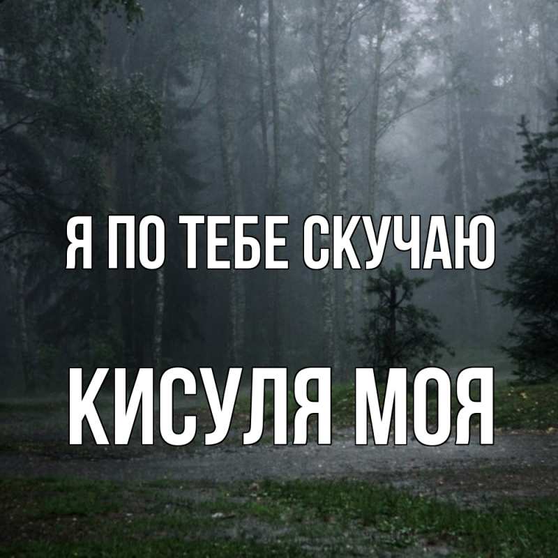 Картинка Я по тебе скучаю, Кисуля моя