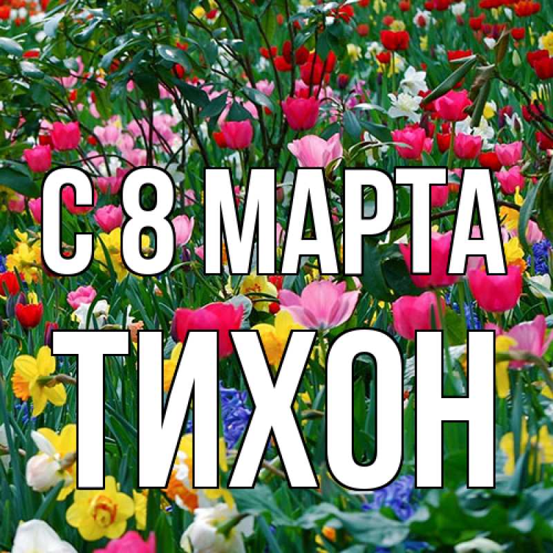Картинка C 8 МАРТА, Тихон