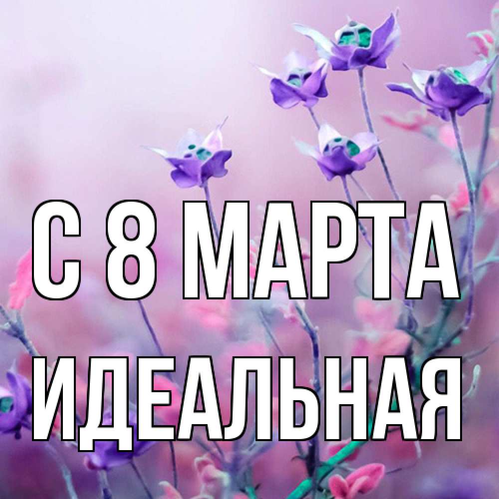 Открытка на каждый день с именем, идеальная C 8 МАРТА международный женский день 2 Прикольная открытка с пожеланием онлайн скачать бесплатно 