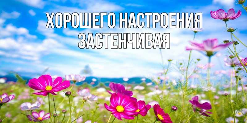 Картинка Хорошего настроения, Застенчивая