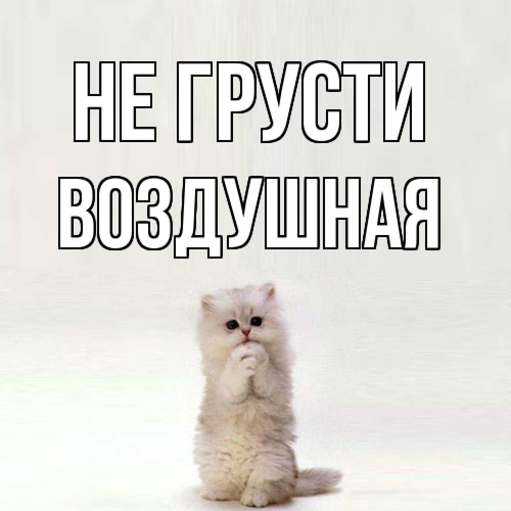 Открытка на каждый день с именем, воздушная Не грусти грустный кот Прикольная открытка с пожеланием онлайн скачать бесплатно 