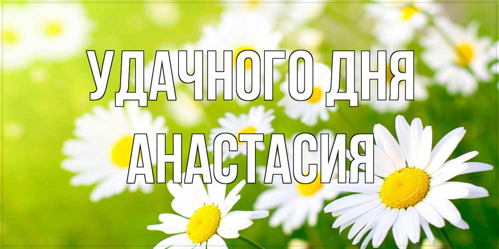 Открытка на каждый день с именем, Анастасия Удачного дня открытка с ромашками на зеленом фоне Прикольная открытка с пожеланием онлайн скачать бесплатно 
