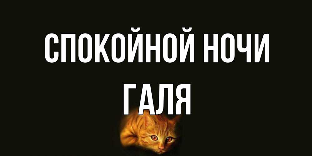 Открытка на каждый день с именем, Галя Спокойной ночи кот Прикольная открытка с пожеланием онлайн скачать бесплатно 