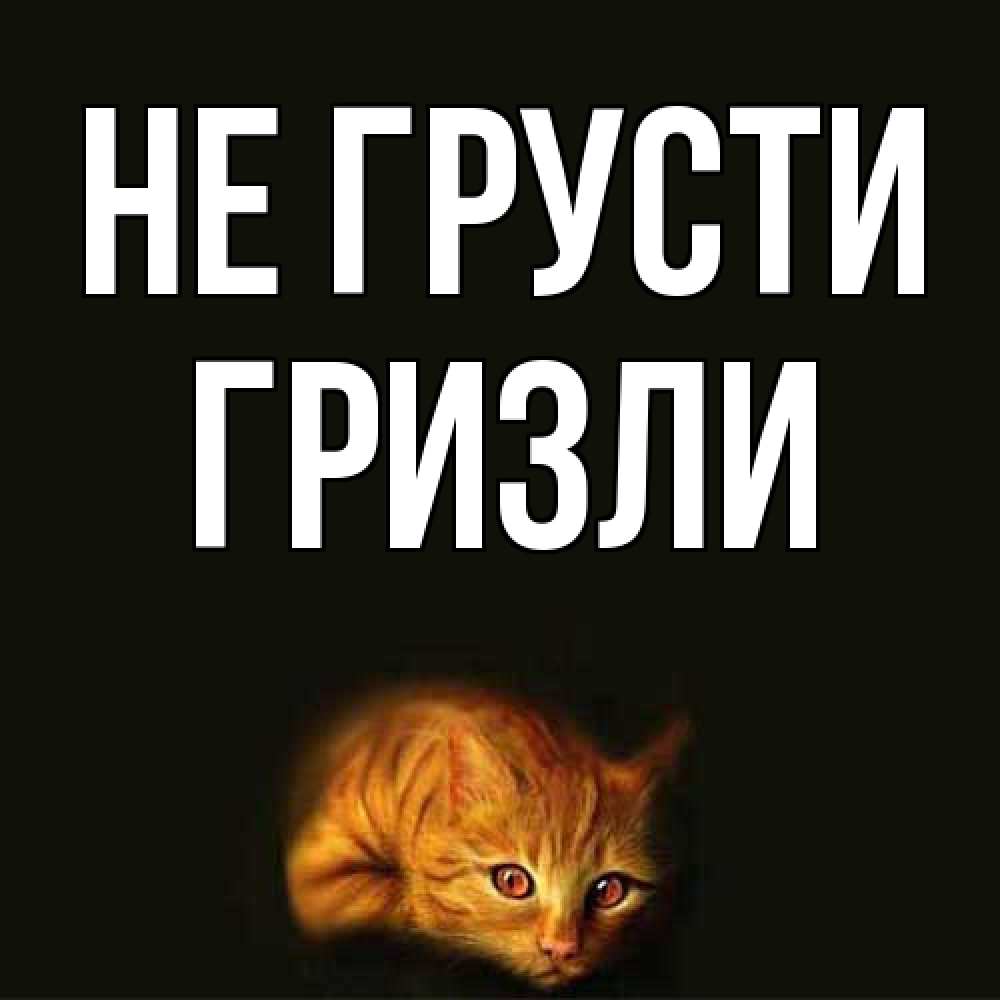 Открытка на каждый день с именем, Гризли Не грусти лежащий кот в темноте Прикольная открытка с пожеланием онлайн скачать бесплатно 