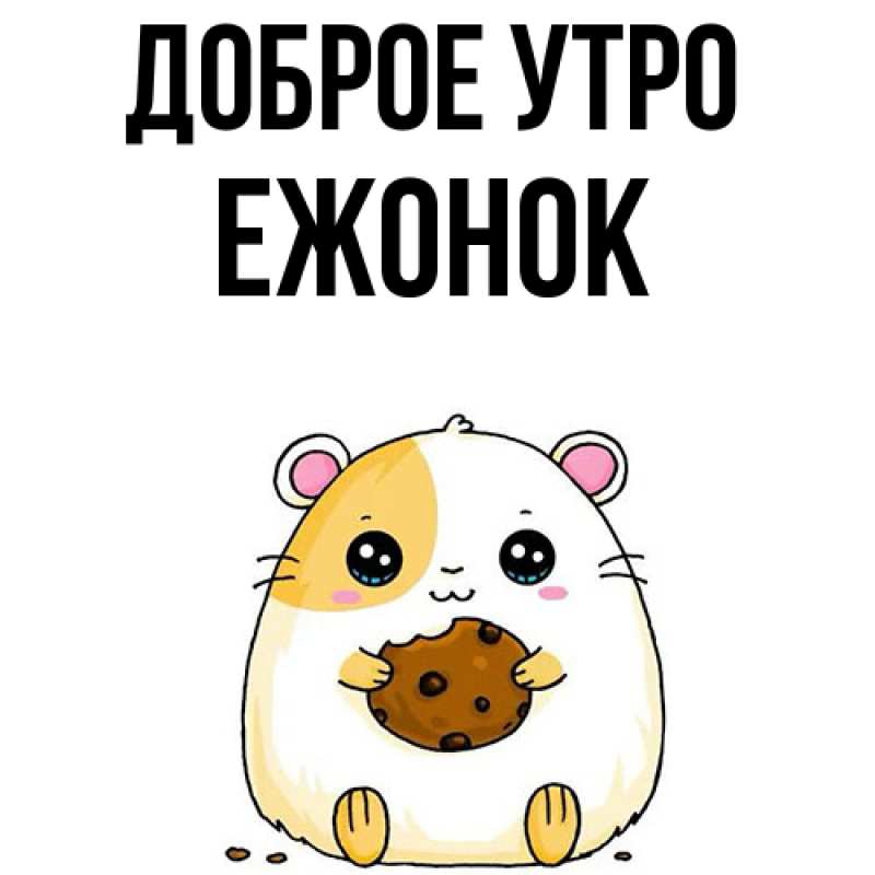 Картинка Доброе утро, Ежонок