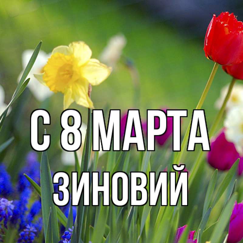 Картинка C 8 МАРТА, Зиновий