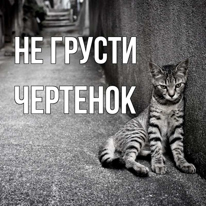 Картинка Не грусти, чеpтенок