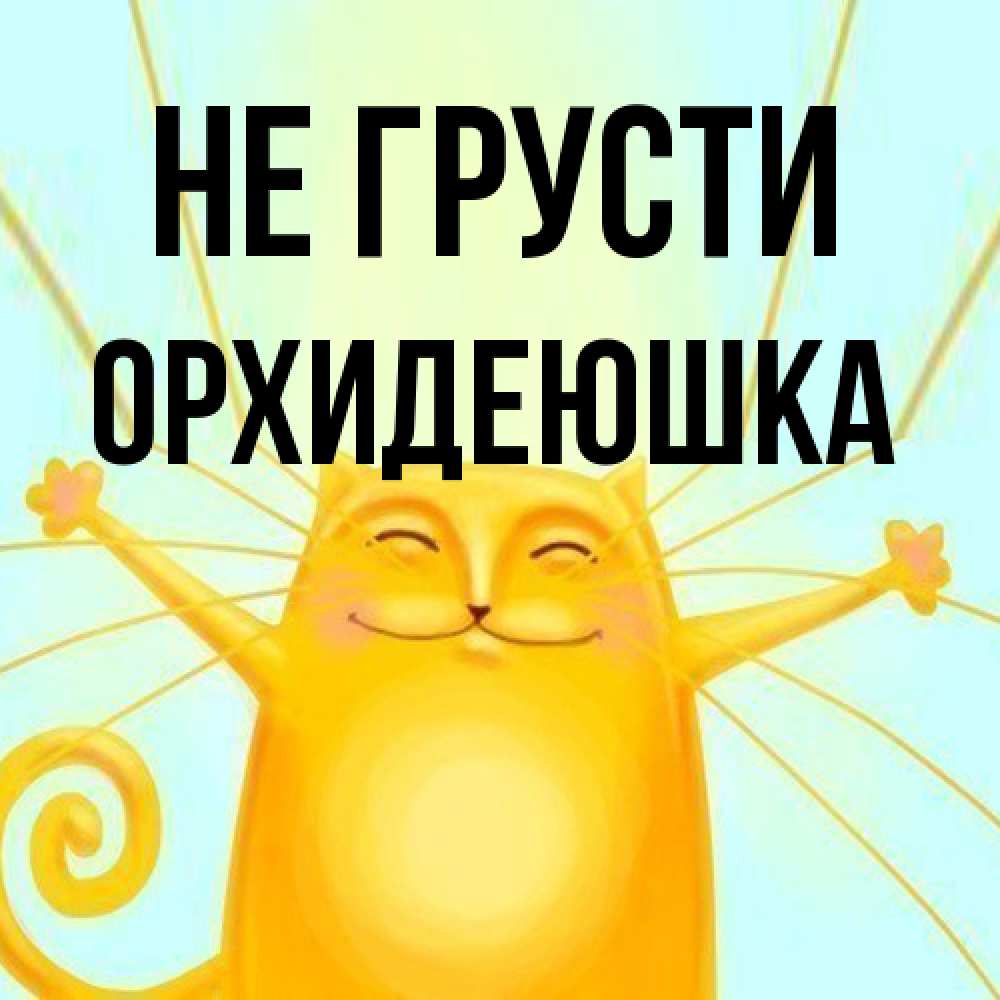 Открытка на каждый день с именем, Орхидеюшка Не грусти обнимашки усатые Прикольная открытка с пожеланием онлайн скачать бесплатно 