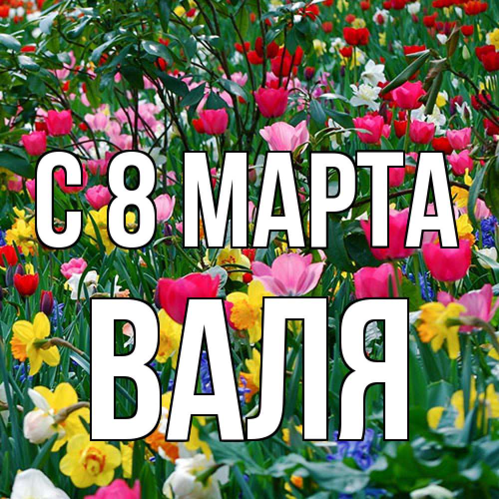 Открытка на каждый день с именем, Валя C 8 МАРТА с международным женским днем поздравления для женщины Прикольная открытка с пожеланием онлайн скачать бесплатно 
