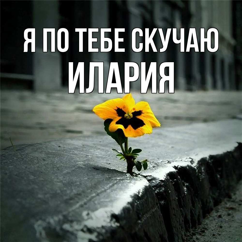 Открытка на каждый день с именем, Илария Я по тебе скучаю надеюсь будет лучше Прикольная открытка с пожеланием онлайн скачать бесплатно 