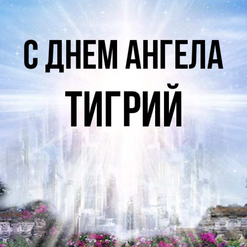 Картинка С днем ангела, Тигрий