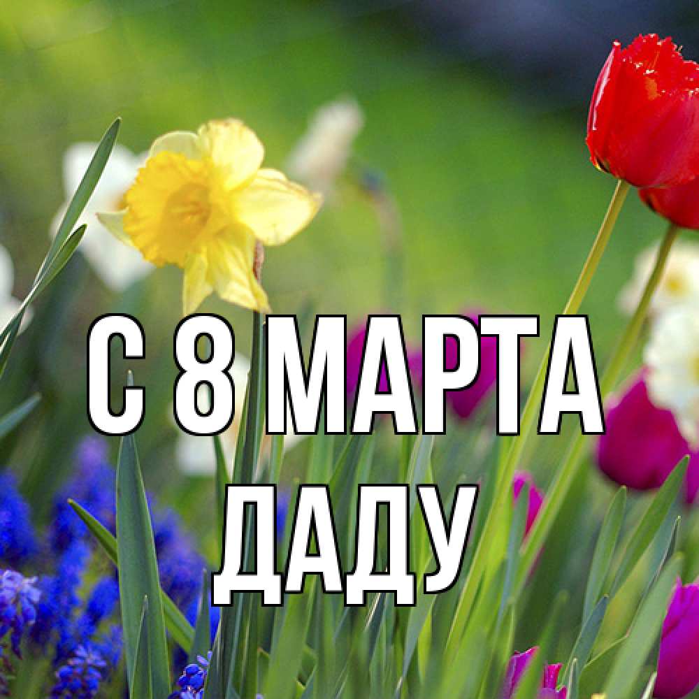 Открытка на каждый день с именем, Даду C 8 МАРТА международный женский день 3 Прикольная открытка с пожеланием онлайн скачать бесплатно 