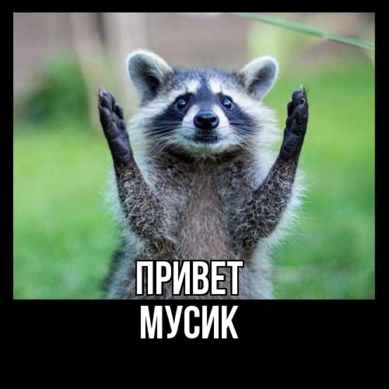 Картинка Привет, мусик