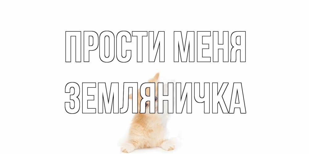 Открытка на каждый день с именем, Земляничка Прости меня кот Прикольная открытка с пожеланием онлайн скачать бесплатно 