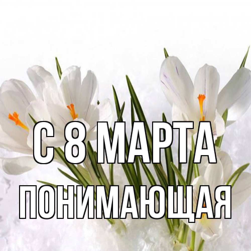 Открытка на каждый день с именем, Понимающая C 8 МАРТА под снегом Прикольная открытка с пожеланием онлайн скачать бесплатно 