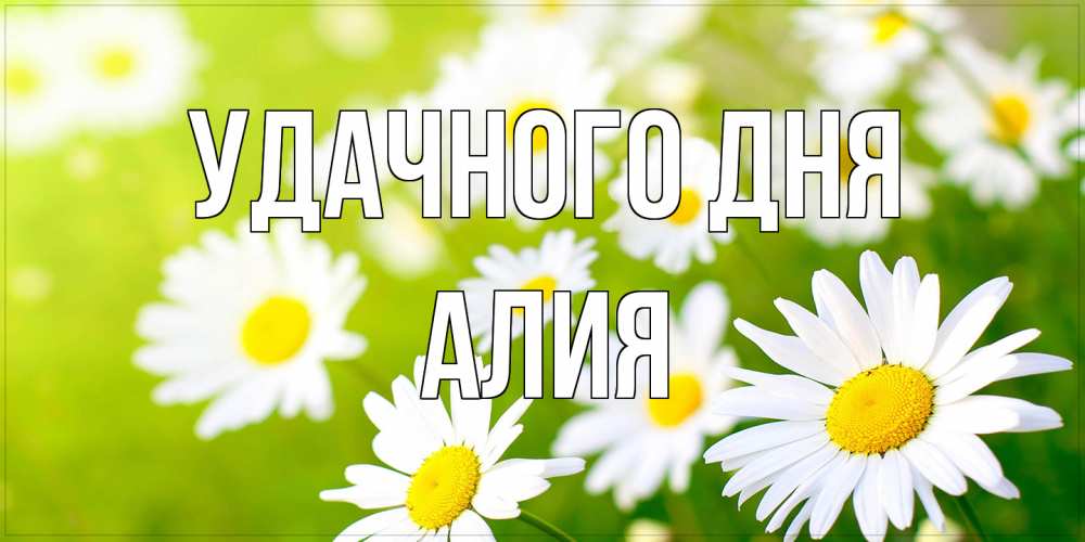Открытка на каждый день с именем, Алия Удачного дня открытка с ромашками на зеленом фоне Прикольная открытка с пожеланием онлайн скачать бесплатно 