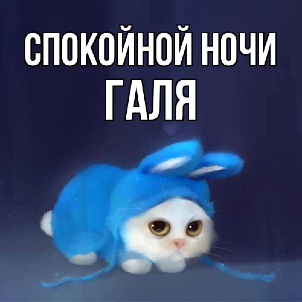 Открытка на каждый день с именем, Галя Спокойной ночи кот в голубом костюме кролика с ушками Прикольная открытка с пожеланием онлайн скачать бесплатно 