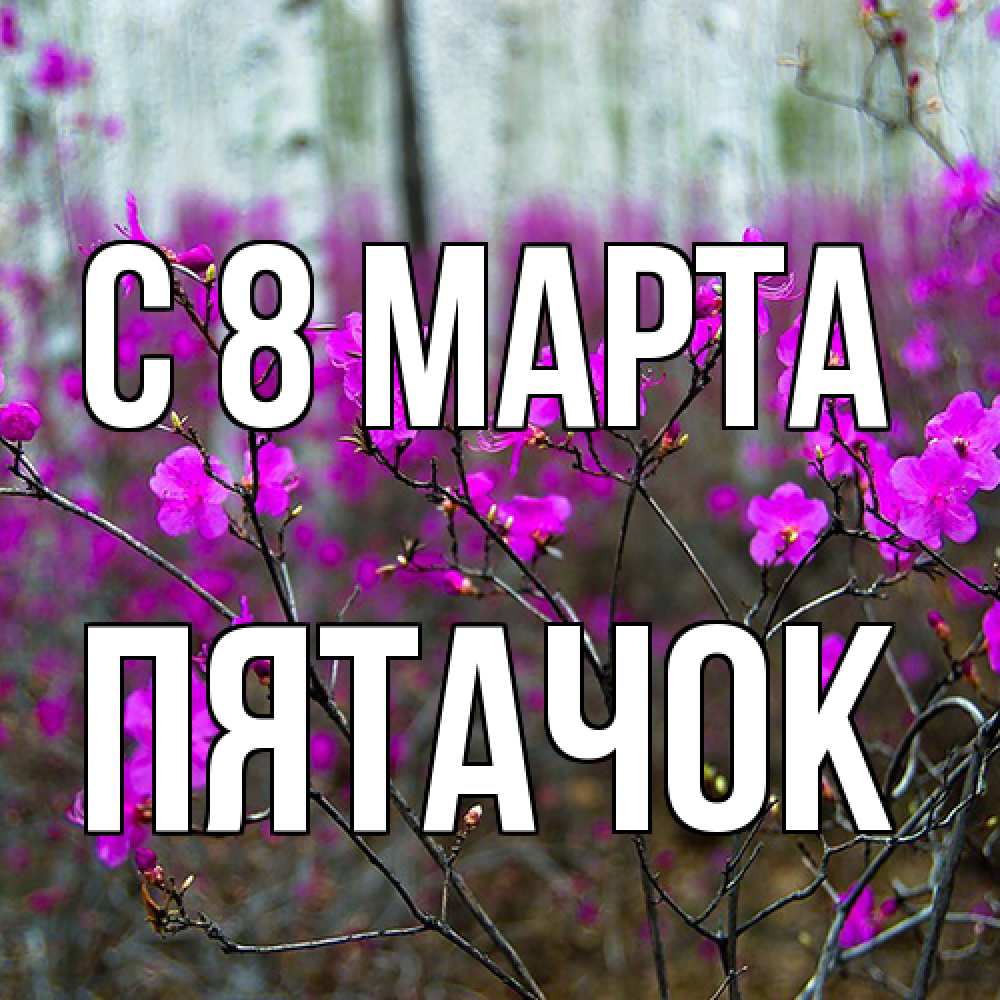 Открытка на каждый день с именем, Пятачок C 8 МАРТА дикие цветы Прикольная открытка с пожеланием онлайн скачать бесплатно 