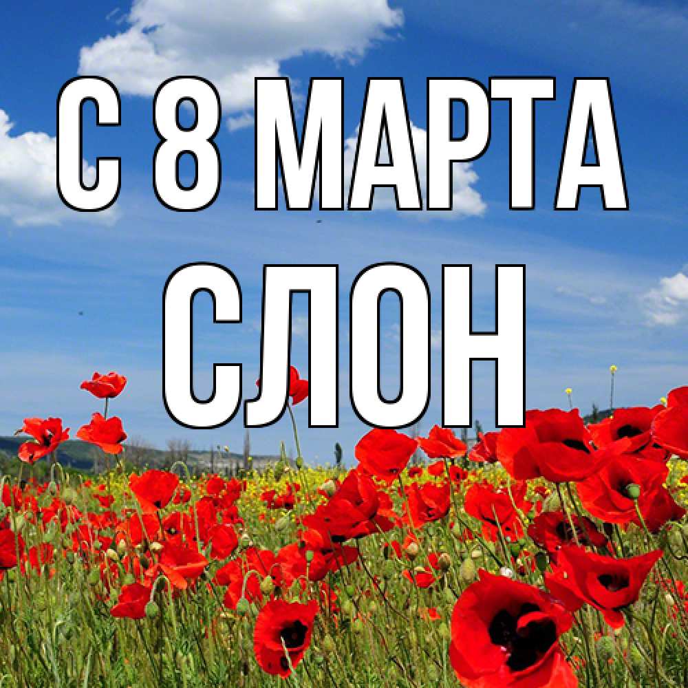 Открытка на каждый день с именем, Слон C 8 МАРТА международный женский день 1 Прикольная открытка с пожеланием онлайн скачать бесплатно 