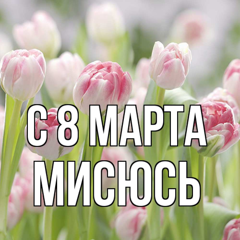 Открытка на каждый день с именем, мисюсь C 8 МАРТА цветы Прикольная открытка с пожеланием онлайн скачать бесплатно 