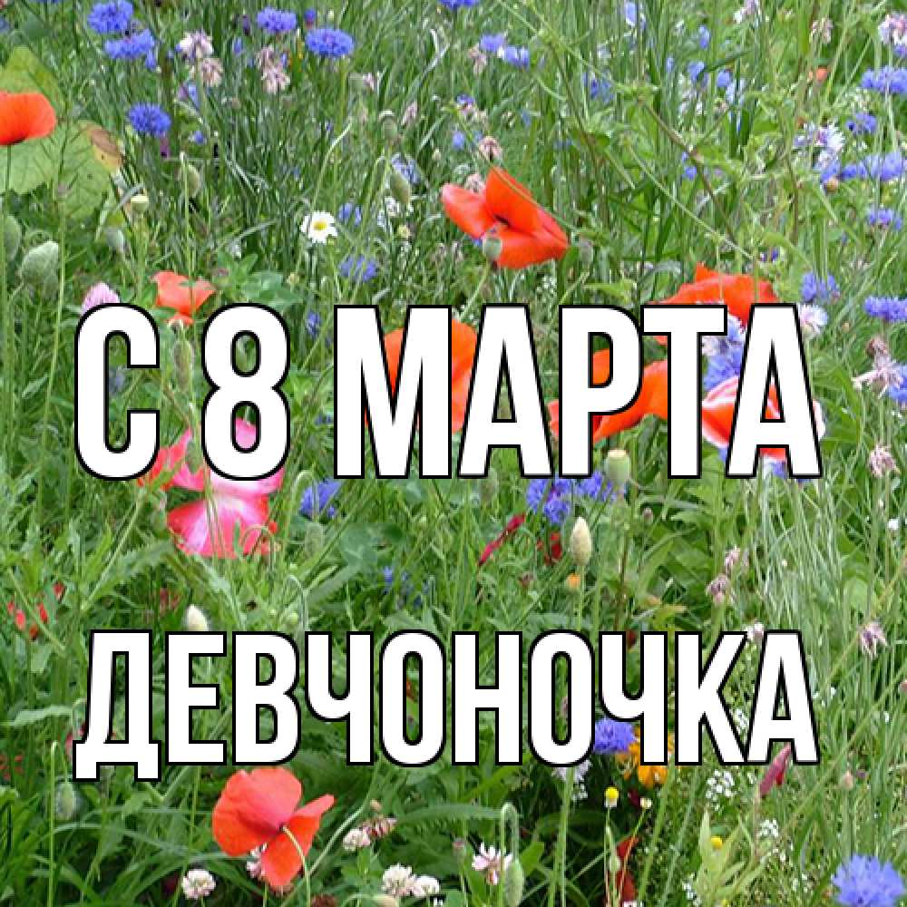 Открытка на каждый день с именем, девчоночка C 8 МАРТА международный женский день 4 Прикольная открытка с пожеланием онлайн скачать бесплатно 