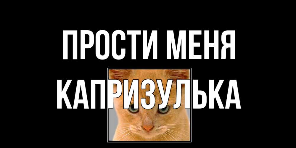 Открытка на каждый день с именем, капризулька Прости меня рыжий грустный кот просит прощения Прикольная открытка с пожеланием онлайн скачать бесплатно 
