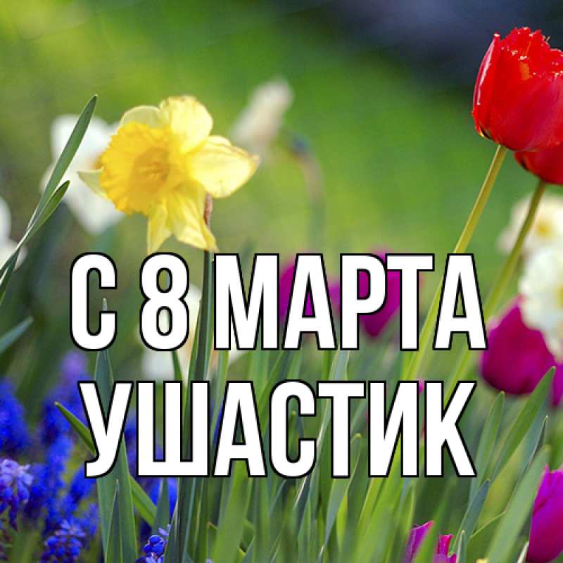 Картинка C 8 МАРТА, Ушастик
