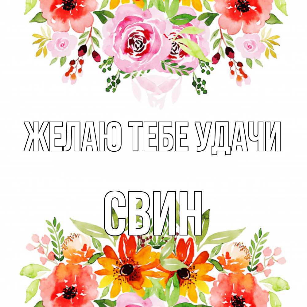 Открытка на каждый день с именем, Свин Желаю тебе удачи открытка с цветами акварелью Прикольная открытка с пожеланием онлайн скачать бесплатно 